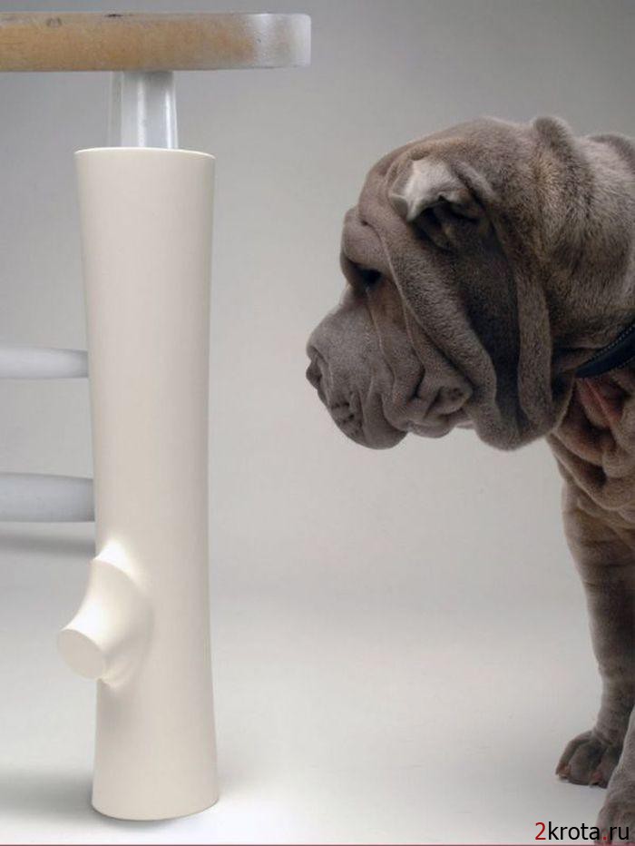 Изобретения для собак, без которых они непонятно как обходились раньше (20 фото)