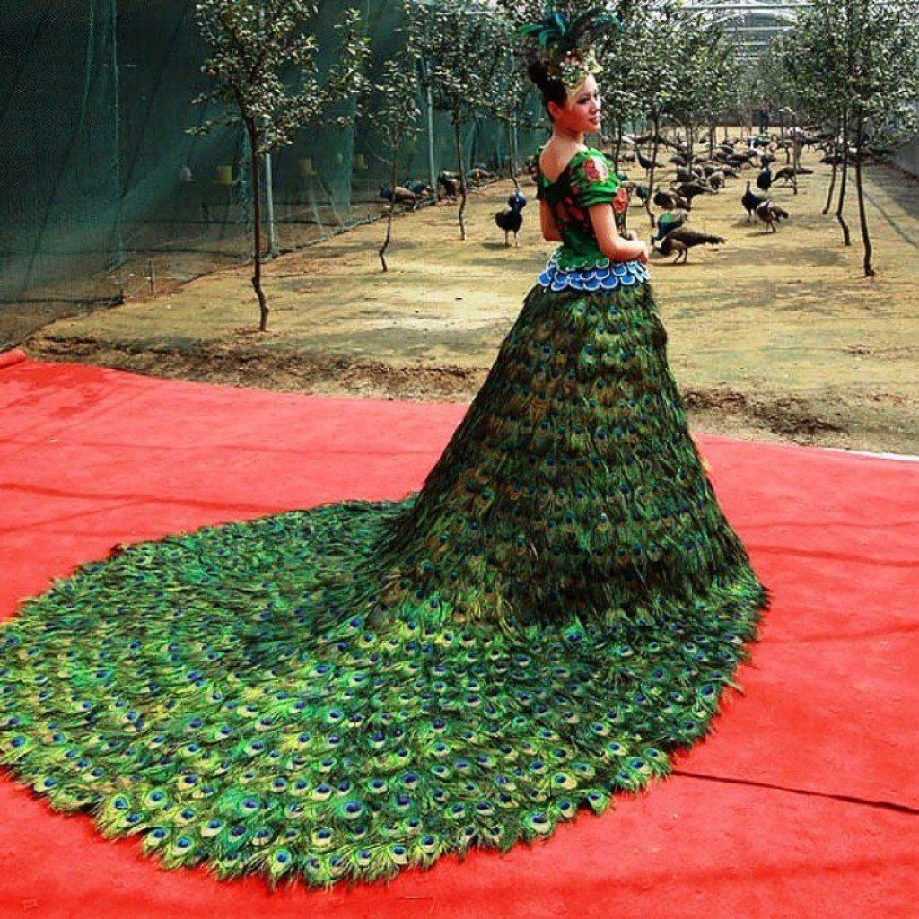 Вера Вонг и платье из павлиньих перьев