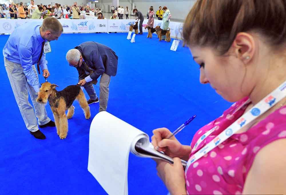 Сайт выставка собак. Сфера выставка собак. Мир выставка собак 2016. Крокус Экспо выставки собак.