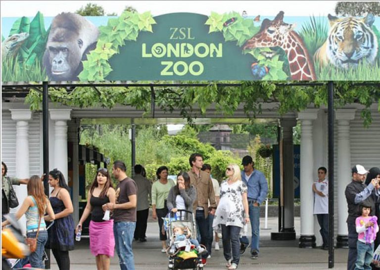 Карта лондонского зоопарка
