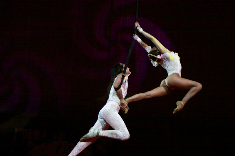 Цирковой жанр 8 букв. Эквилибристика гимнастика цирк. Воздушные гимнасты на ремнях.