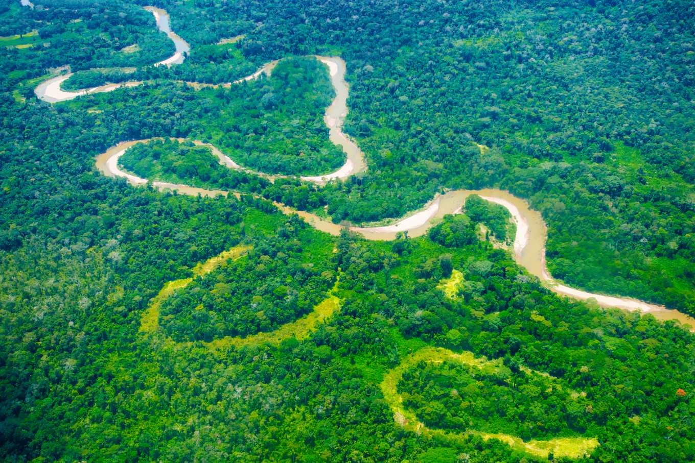 Краса долины. Река Амазонка в Бразилии. Южная Америка река Амазонка. Южная Америка Амазонская низменность. Бразилия Амазонская низменность.