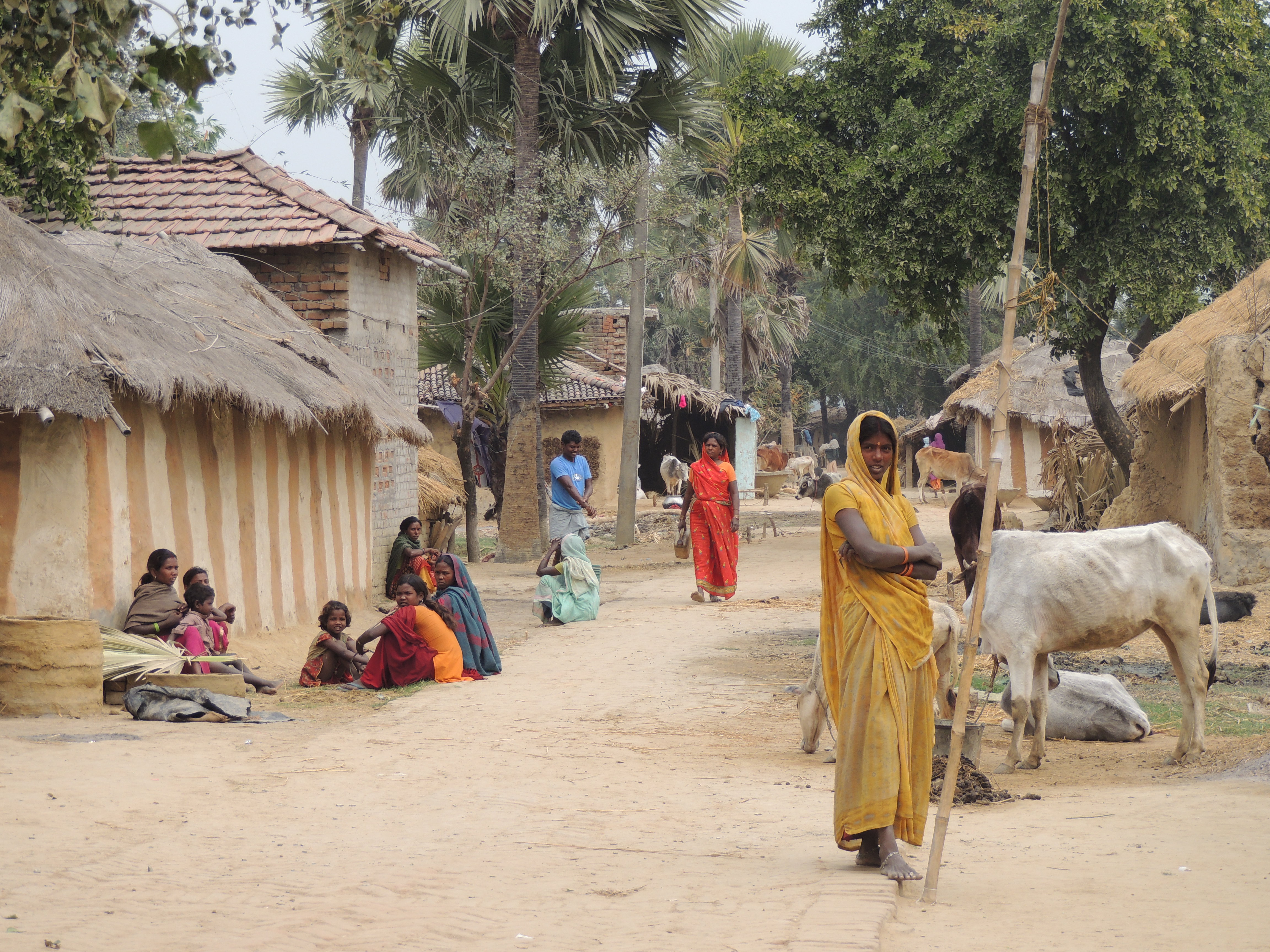 Индийское общество было. Клифаграми Индия деревня. Деревня Сундер Индия. Индия деревушка Канхивара. Сельские поселения в Индии.