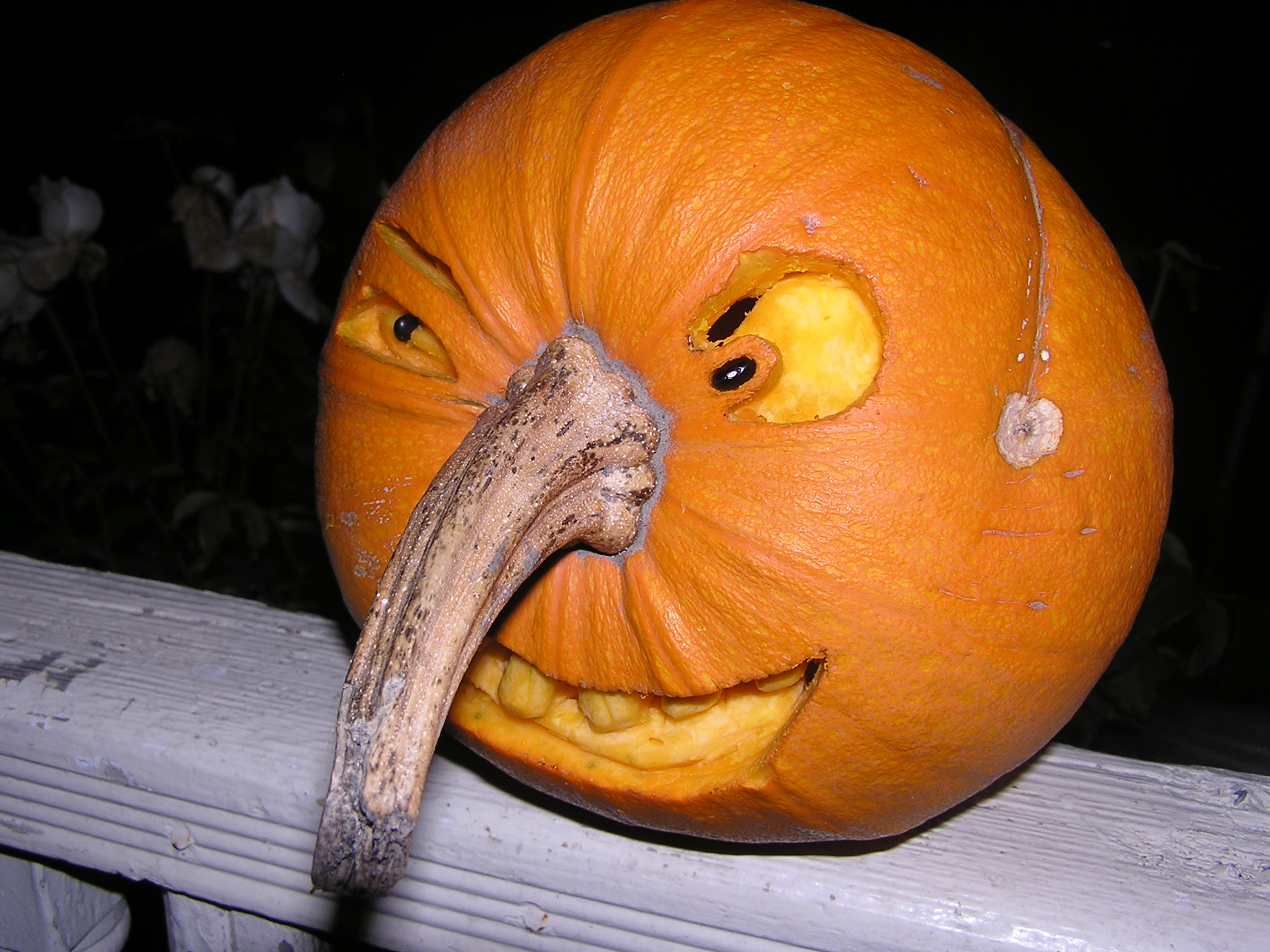 Naughty pumpkin carvings