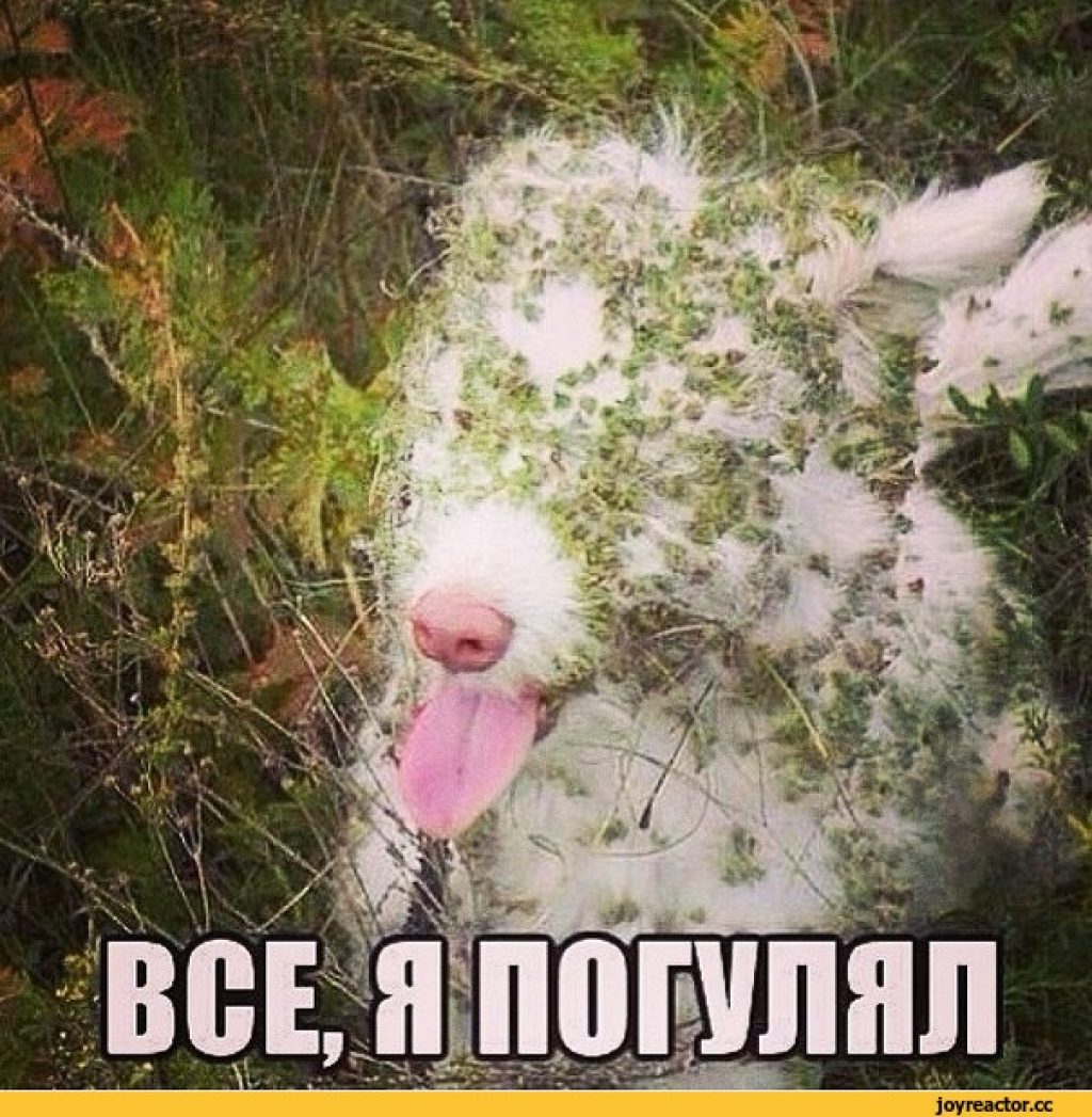 сила мысли демотиваторы. фраза дня. заведи новую. заведи новую. заведи новую.