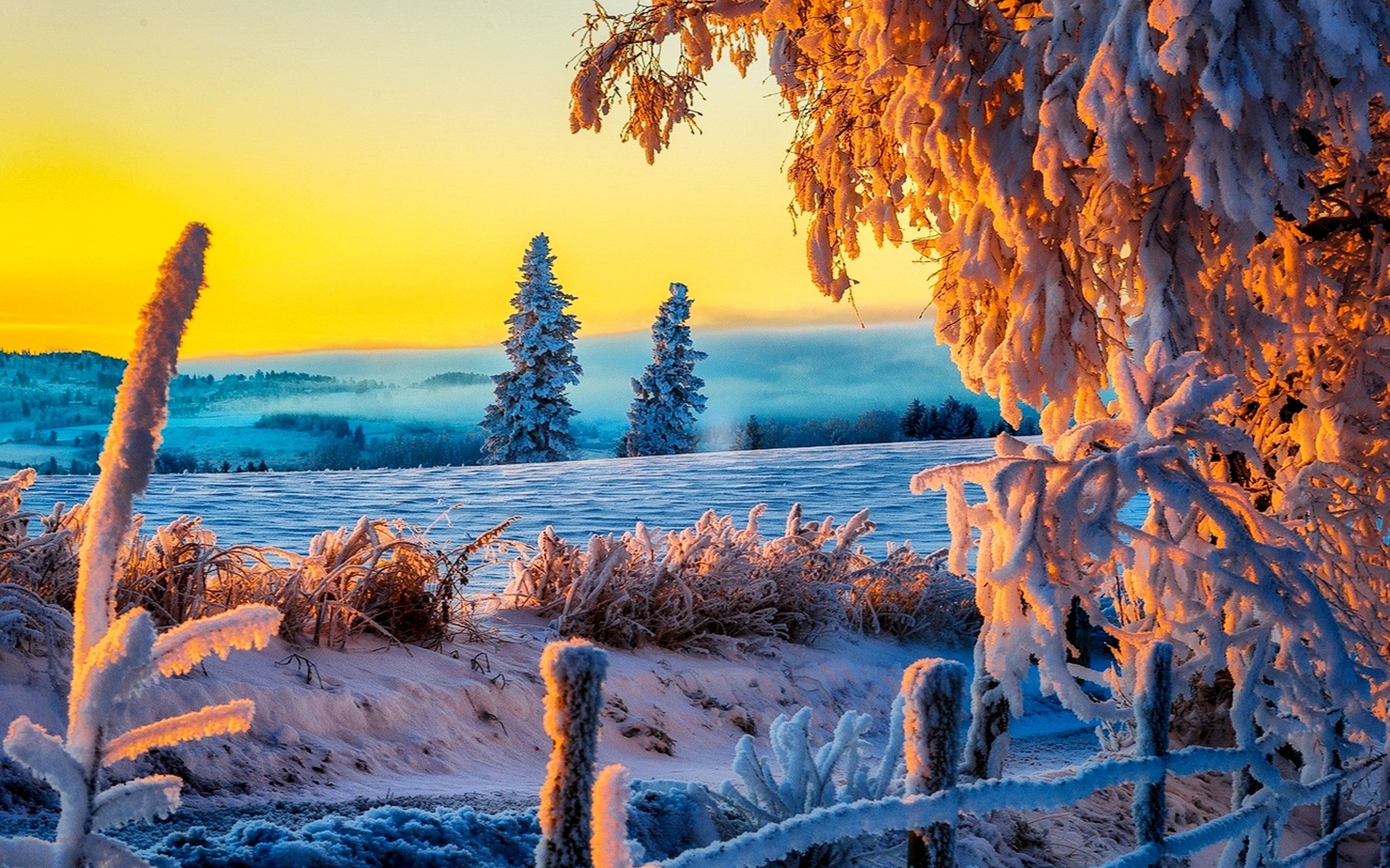 красивые фотографии природы зима