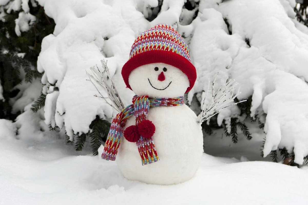 Красивый снеговик фото - Снеговики (65 фото) . redka.com.ua