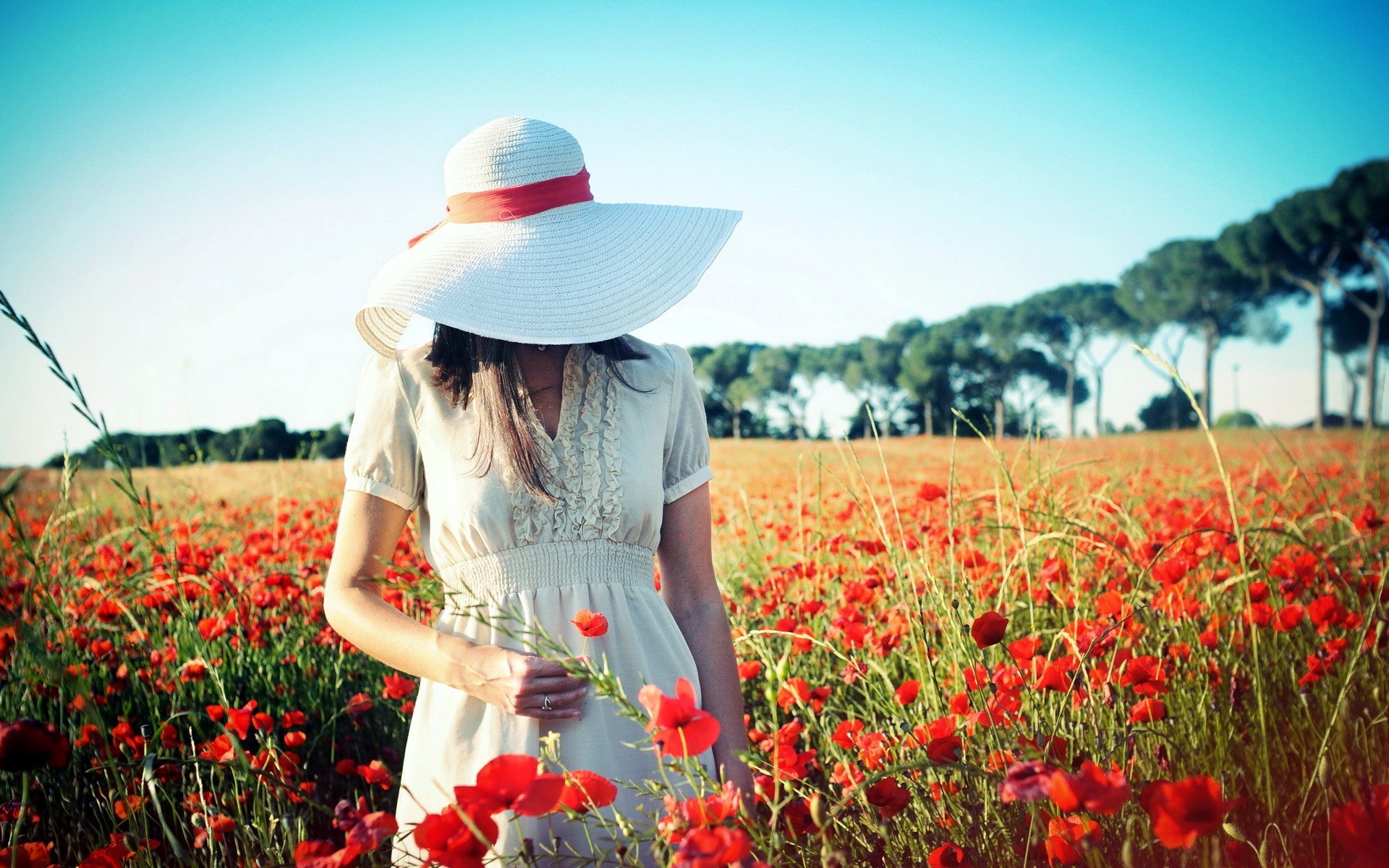 Девушка в поле цветов со спины
