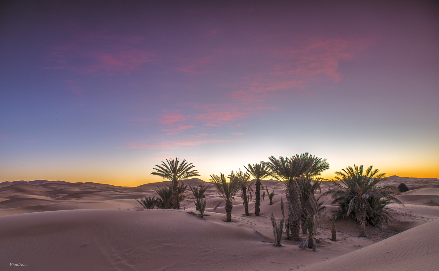 Покажи оазис. Пустыня сахара Оазис. Сахара Марокко Оазис. Оазис в пустыне сахара фото. Оазис в пустыне Африки.
