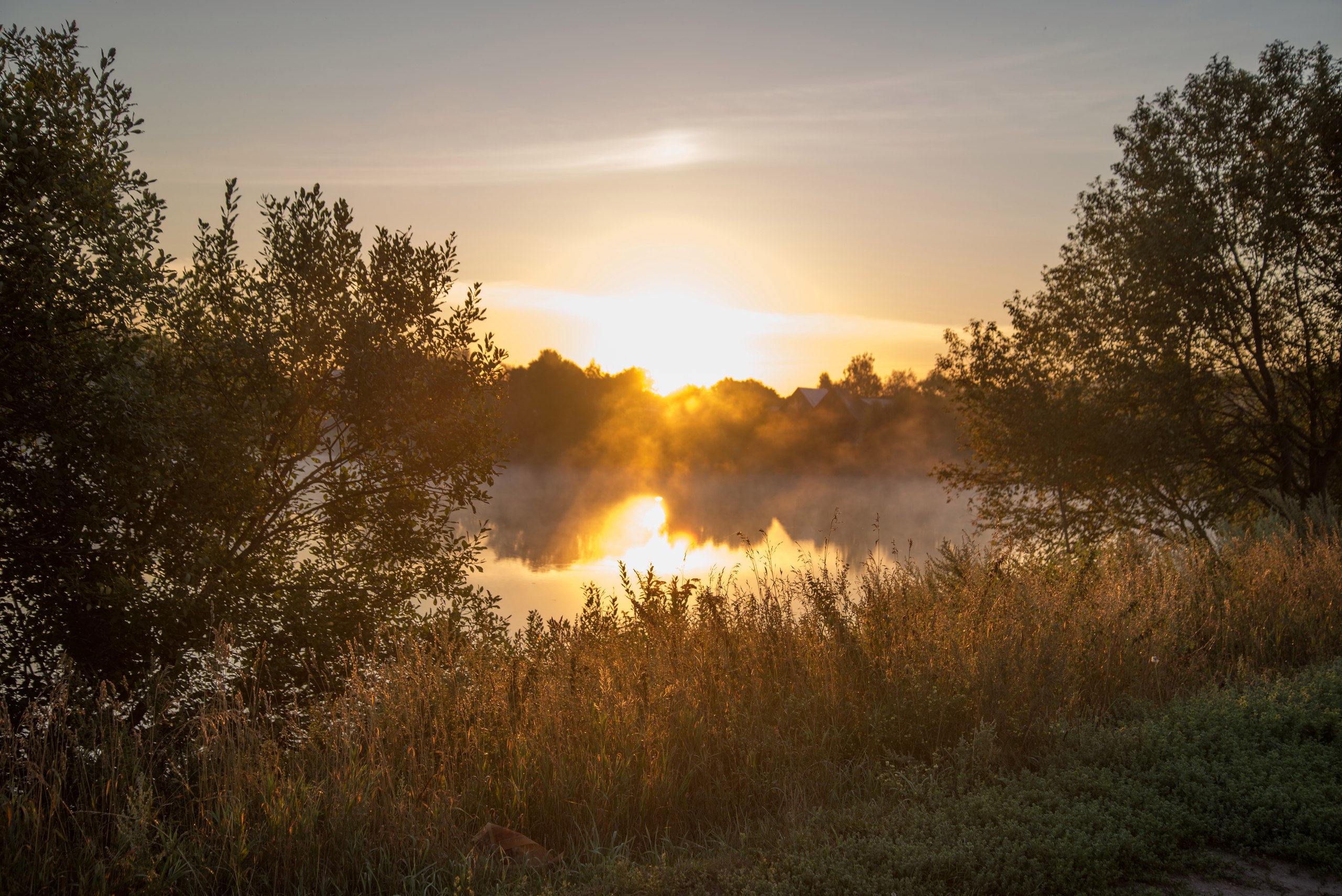 Утреннее солнце фото