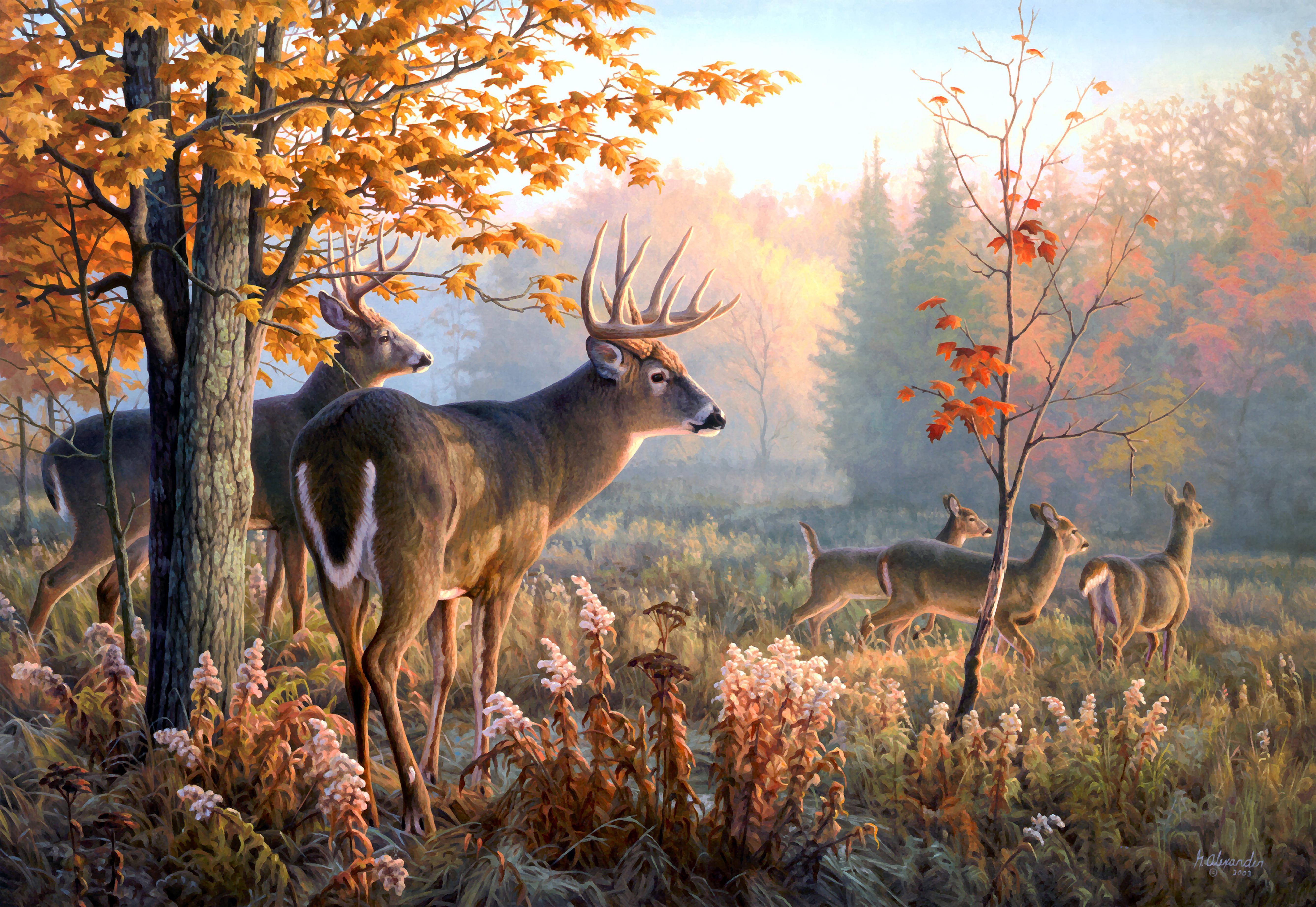 Олень в березах. Пейзаж с животными. Олень в лесу. Картина природа. Красивые картины.