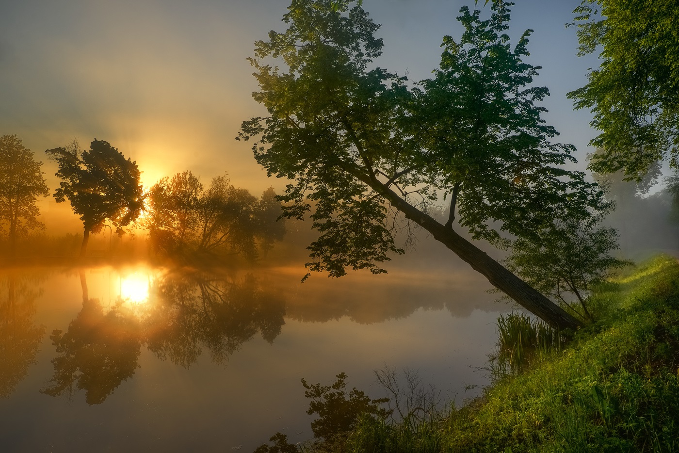 Пейзаж утро. «Рассвет над рекой» - Федор Васильев. Утренний пейзаж. Утро природа. Красивый рассвет.