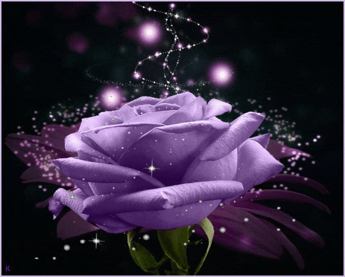 Анимационные цветы. Фиолетовые цветы. Красивые анимированные цветы. Цветы гиф.