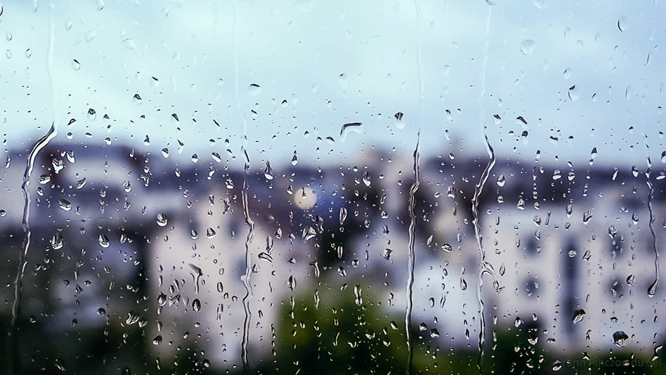 Дождь живая природа. Ливень. Дождь гифка. Анимированный дождь. Дождь в окне.