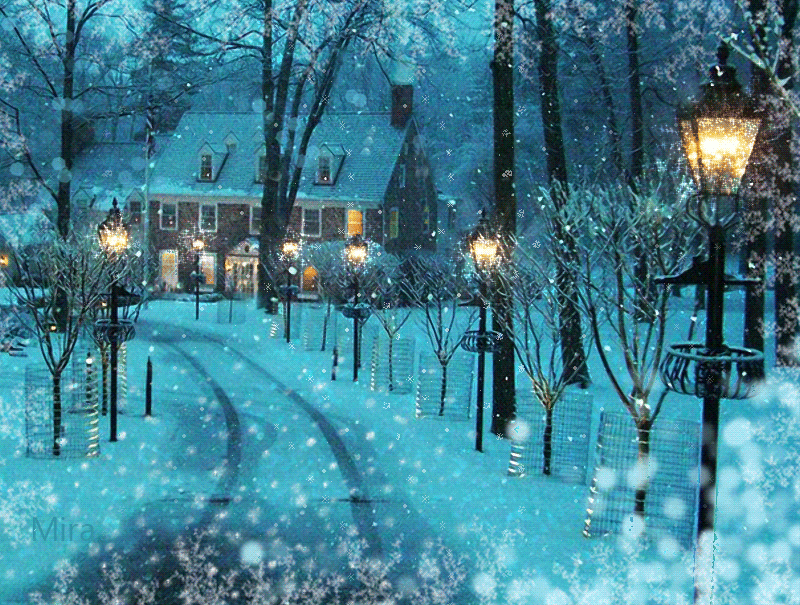 Зимний вечер. Зимний город. Падающий снег. Красивый снегопад. Падает снег вечер