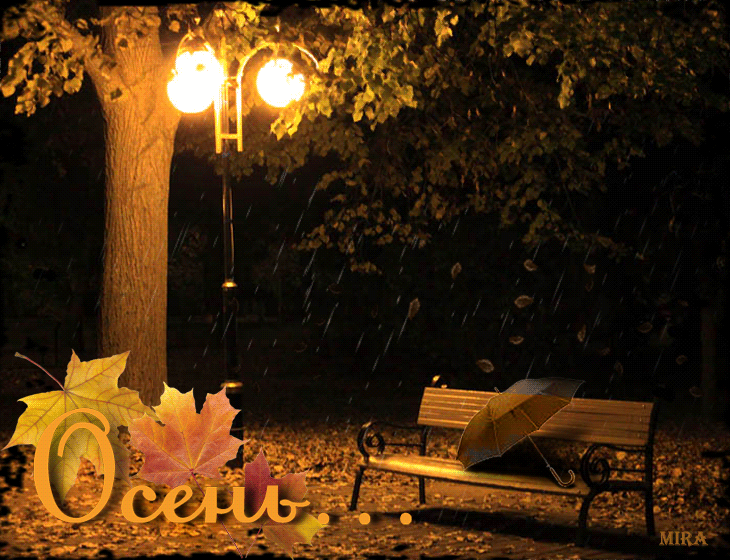 Доброй осенней ночи красивое. Прекрасной сентябрьской ночи. Доброй ночи осенний сквер. Вечер листопад. Доброй ночи сквер осень.