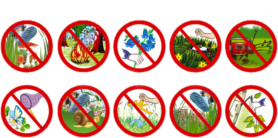Картинки знаки поведения в природе. Экологические знаки. Знаки охраны природы. Экологические знаки для детей. Экологические знаки для дошкольников.