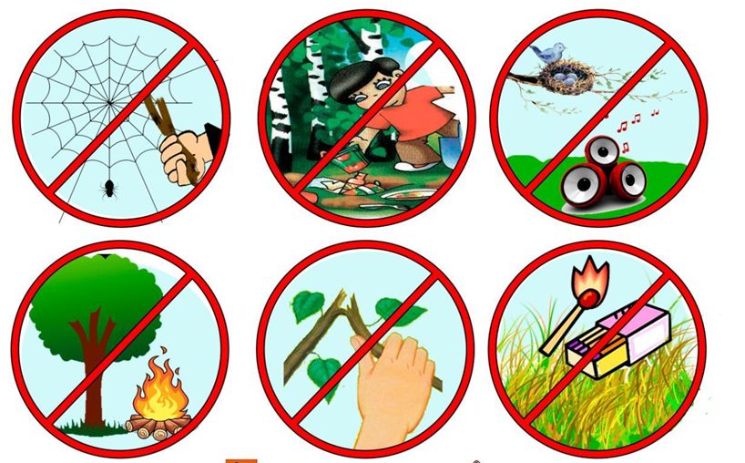 Экологические знаки. Знаки охраны природы. Экологический знак природы. Запрещающие знаки в природе.