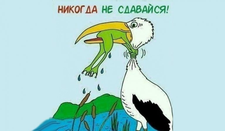 Картинки с надписью-Никогда не сдавайся (30 картинок) 😅 pichold.ru