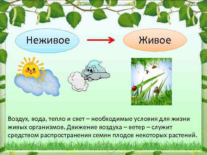 3 примера экологии