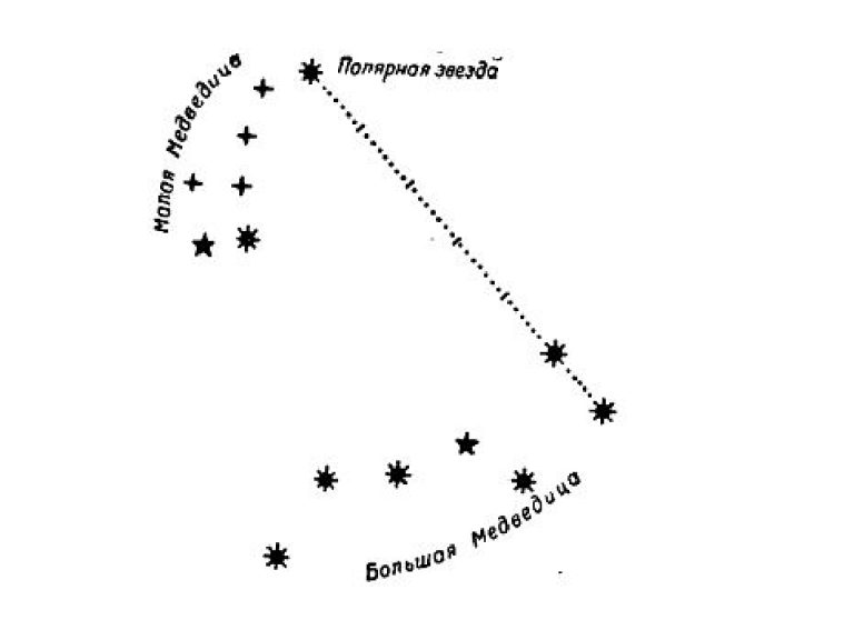 Большая и малая медведица созвездие картинки