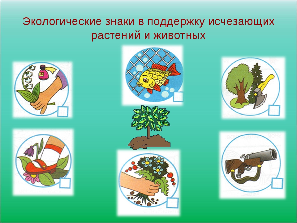 Экологические знаки. Природоохранные знаки для детей в картинках. Экологический знак природы. Знаки охраны природы.