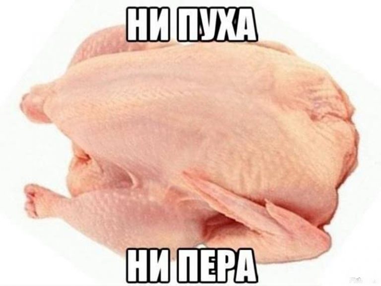 Ни пуха ни пера картинки к черту