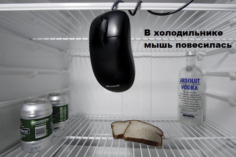 Песня открываю холодильник. Мышь в холодильнике. Мышь удавилась в холодильнике.