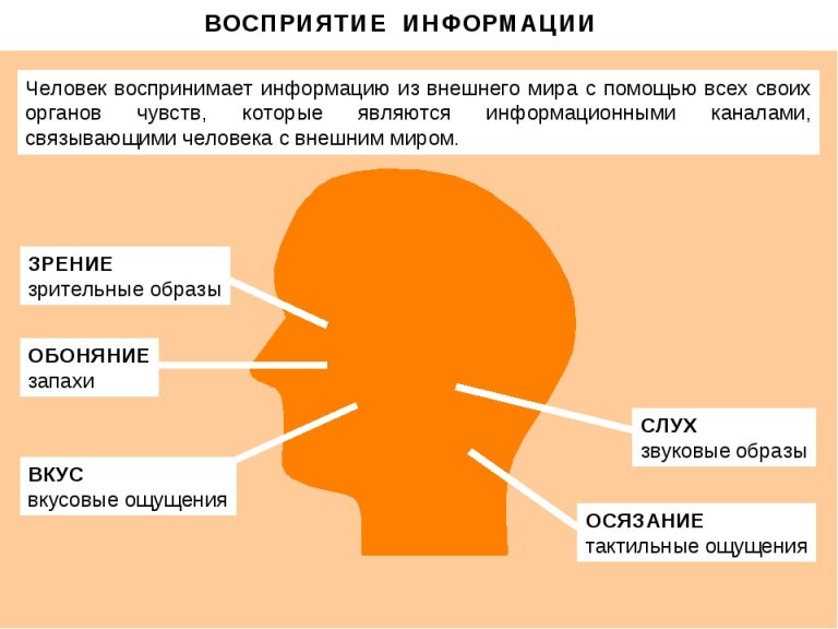 Заполните схемы восприятие объективное