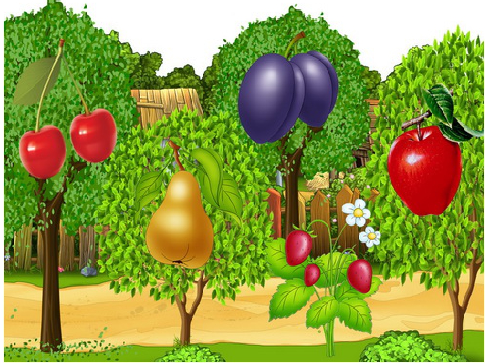 Нарисуем огород там растет два куста ягоды. Фруктовый сад. Плодовые деревья и кустарники. Плодовые деревья для детей. Фруктовые деревья для детей.