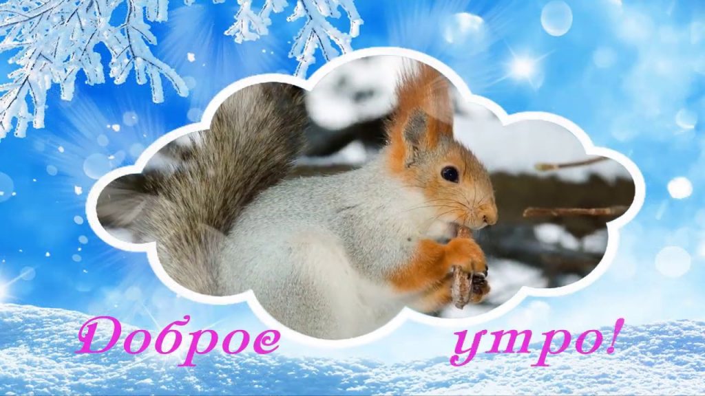 Доброе утро среда зима картинки красивые