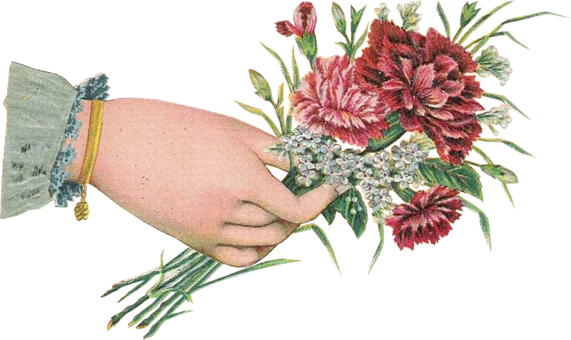 Рука держит букет рисунок