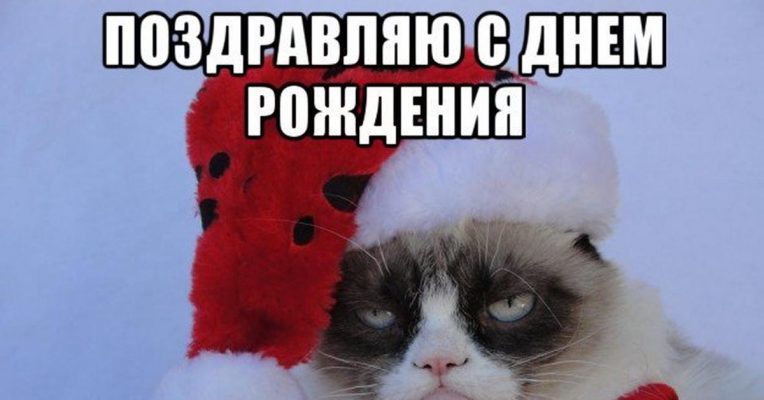 Привет димулька картинки