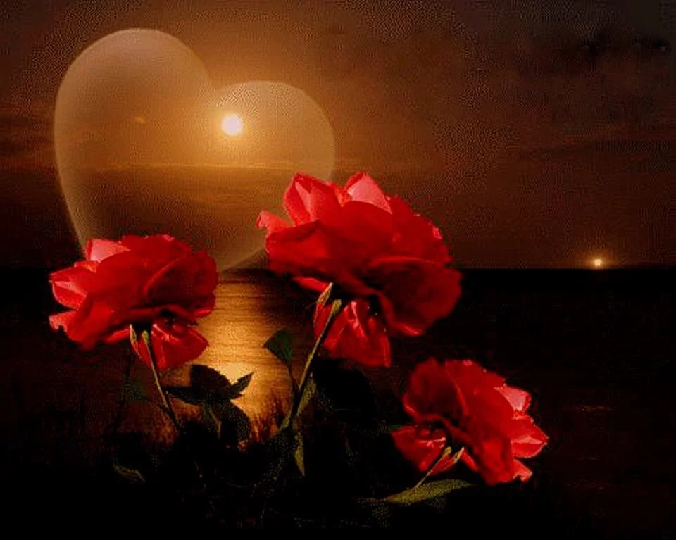 Розы спи любимая. Спокойной ночи цветы. Доброй ночи цветы. Красивого вечера. Прекрасная ночь.