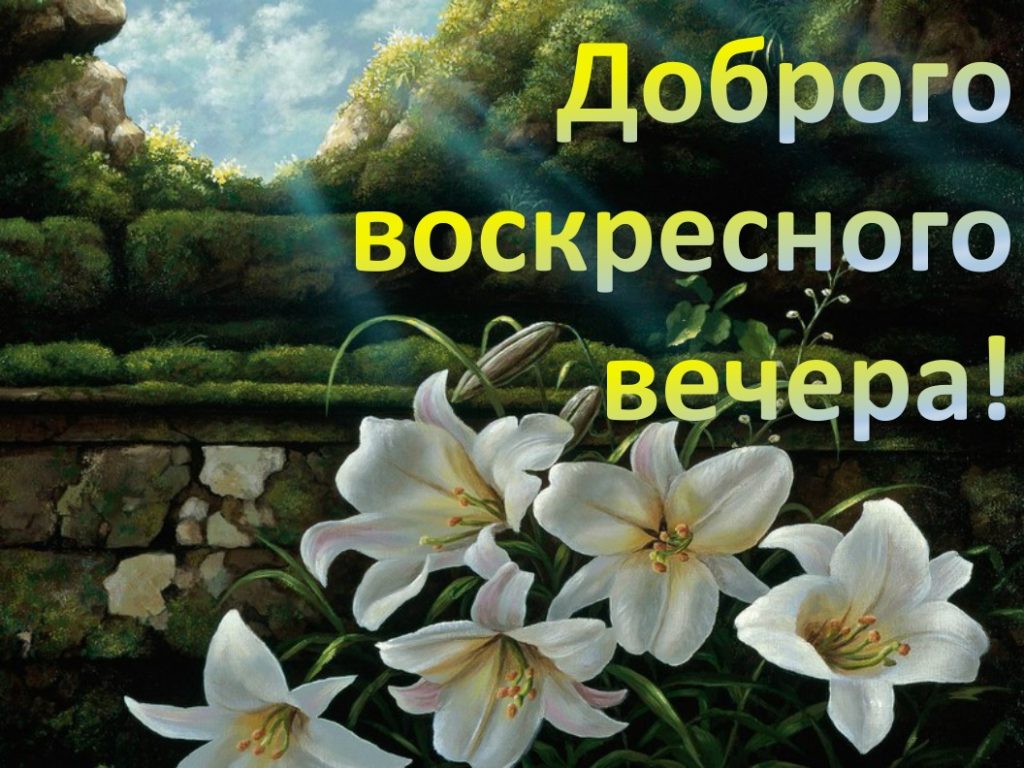 Доброго воскресного вечера и хорошего настроения картинки с надписями