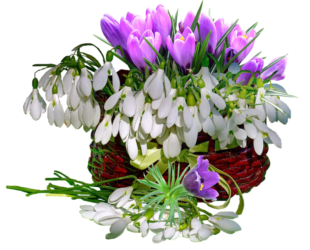 Открытки с днем рождения весенние цветы женщине. Цветы подснежники букет. Весенний букет. Букет весенних цветов. Букет из весенних цветов.
