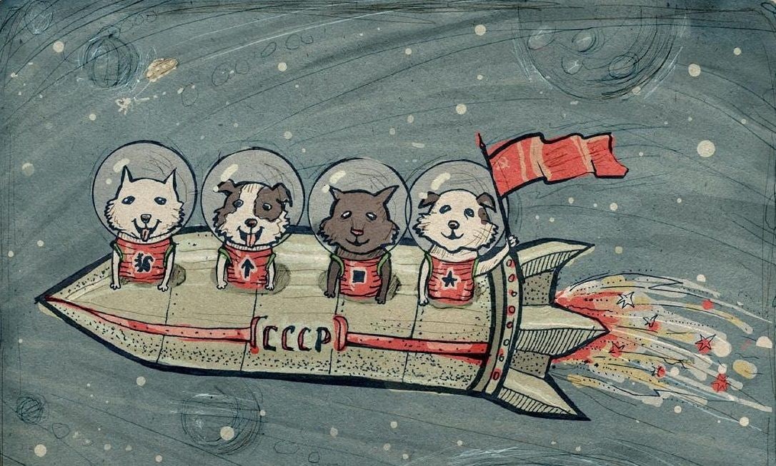 Картинка с первым 2024. Животные в космосе для детей. Советские животные в космосе это. Открытка "космонавты". Животные в космосе рисунки.