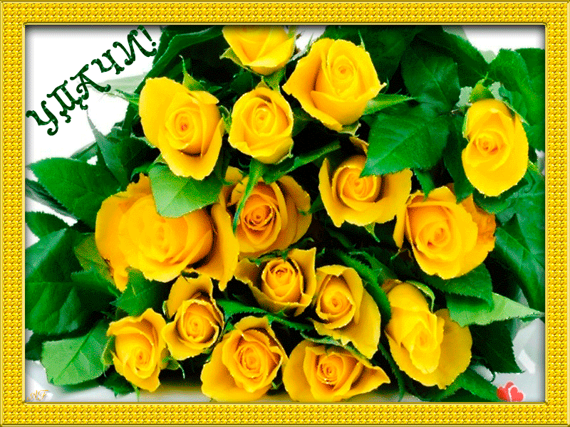 Открытка с желтыми розами. Желтые розы открытки. С днем рождения желтые розы. Желтые розы с пожеланиями. Поздравительные открытки с желтыми розами.
