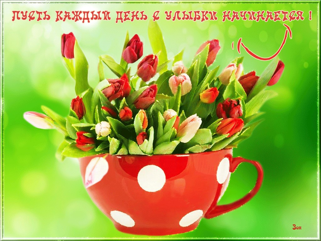 С добрым утром тюльпаны с пожеланиями красивые. Тюльпаны открытка. Пожелание доброго весеннего утра. Открытки с тюльпанами красивые. Открытки доброе утро весенние.