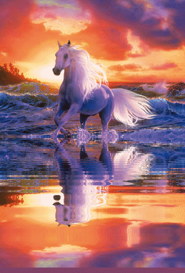 Розовый конь песни. Лошадь бежит по воде. Анимационные лошади. Лошади блестяшки. Анимация красивые лошади.