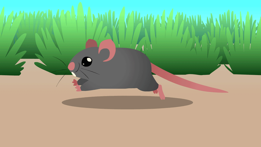 Двигающая мышь. Мыши анимированные. Мышь гиф. Мышь бежит. Анимированная мышка.