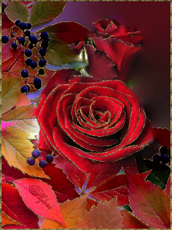 Gif картинки цветы. Осенние розы. Мерцающие розы. Мерцающие цветы. Переливающиеся цветы.