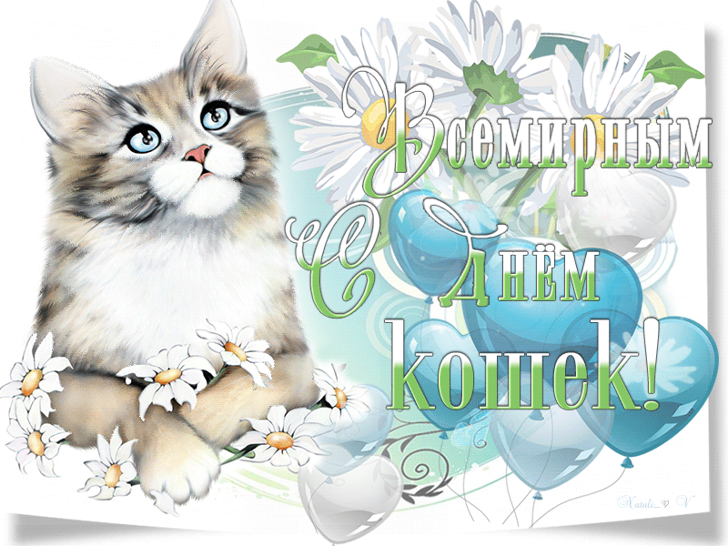 Открытки с первым днем весны и кошек. Всемирный день кошек. Поздравление с днем кошек. День кошек открытки. Всемирный день кошек открытки.